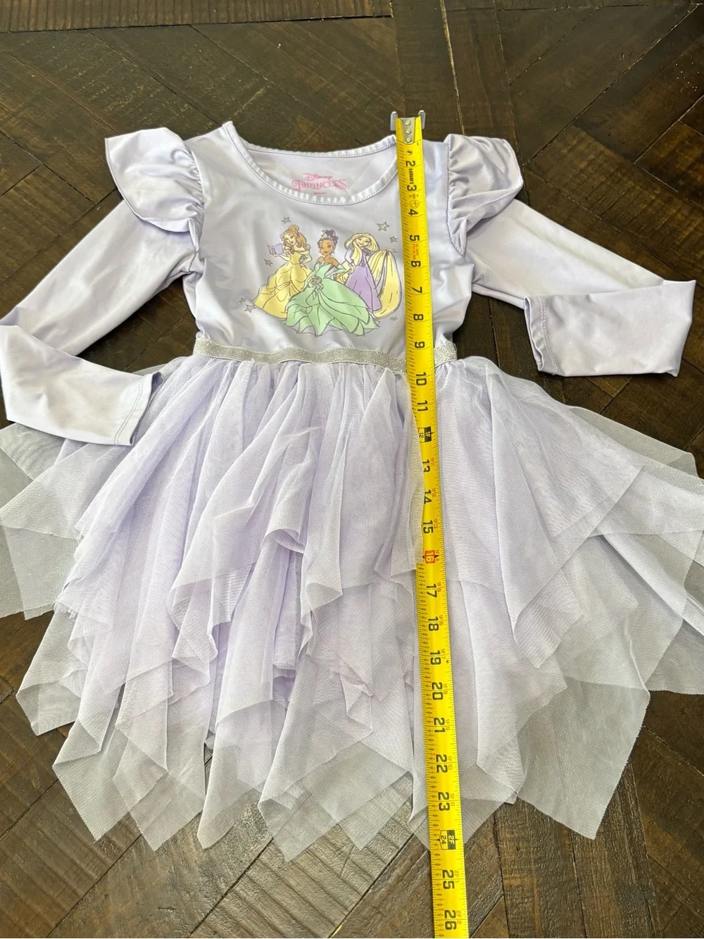 Disney Cinderella 5T tutu dress purple toddler girls toddler